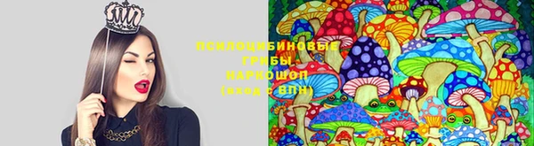 прущие крисы Абаза