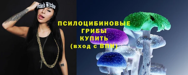 прущие крисы Абаза