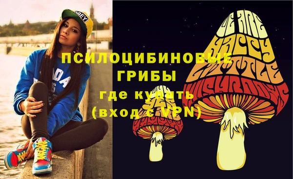 прущие крисы Абаза