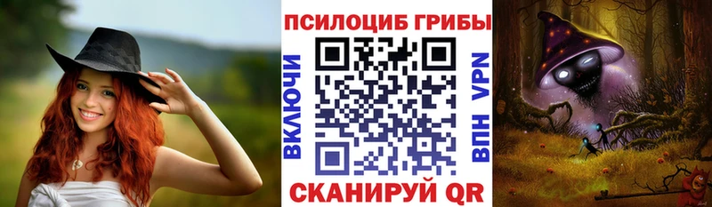 Псилоцибиновые грибы прущие грибы Калининград